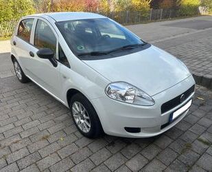 Fiat Punto Gebrauchtwagen