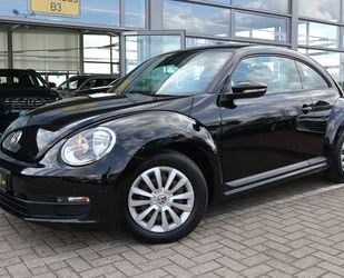 VW Beetle Gebrauchtwagen