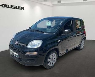 Fiat Panda Gebrauchtwagen