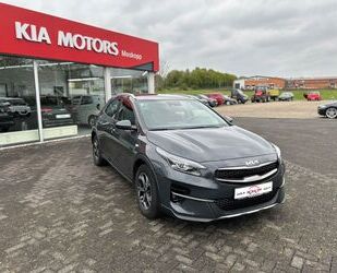 Kia XCeed Gebrauchtwagen