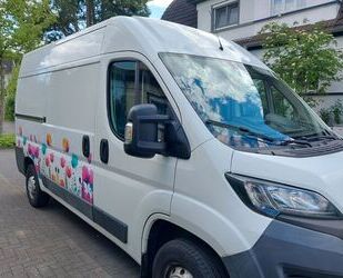 Peugeot Boxer Gebrauchtwagen
