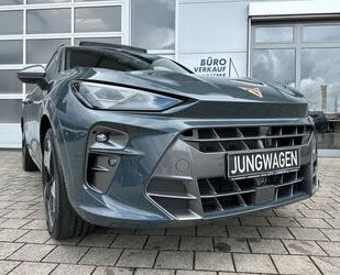 Cupra Terramar Gebrauchtwagen