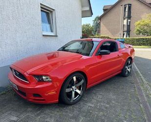 Ford Mustang Gebrauchtwagen