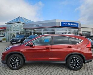 Honda CR-V Gebrauchtwagen