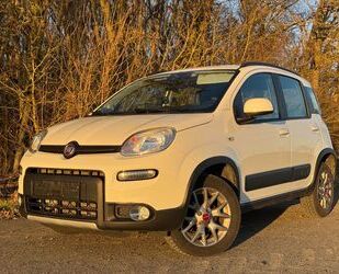Fiat Panda Gebrauchtwagen