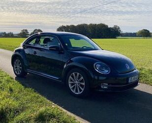 VW Beetle Gebrauchtwagen