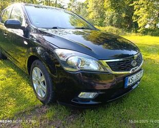 Kia ceed / Ceed Gebrauchtwagen