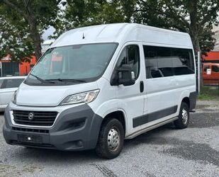 Fiat Ducato Gebrauchtwagen