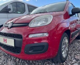 Fiat Panda Gebrauchtwagen