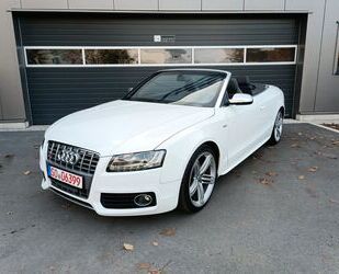 Audi S5 Gebrauchtwagen
