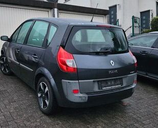 Renault Scenic Gebrauchtwagen