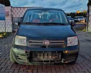 Fiat Panda Gebrauchtwagen