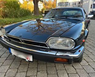 Jaguar XJS Gebrauchtwagen