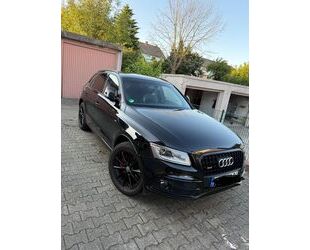 Audi Q5 Gebrauchtwagen