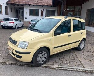 Fiat Panda Gebrauchtwagen