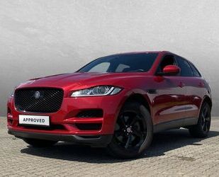 Jaguar F-Pace Gebrauchtwagen