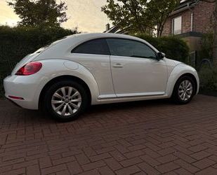 VW Beetle Gebrauchtwagen