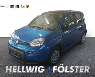 Fiat Panda Gebrauchtwagen