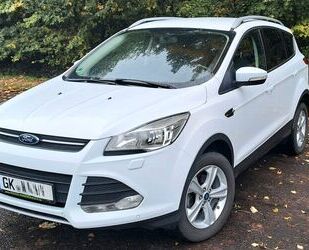 Ford Kuga Gebrauchtwagen