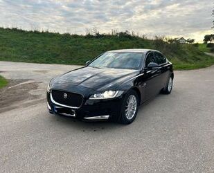 Jaguar XF Gebrauchtwagen