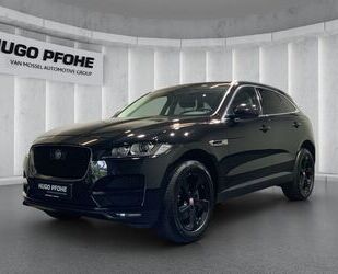 Jaguar F-Pace Gebrauchtwagen