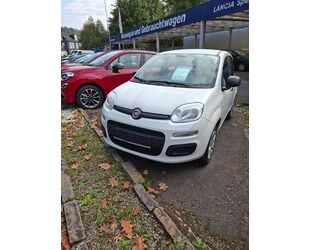 Fiat Panda Gebrauchtwagen