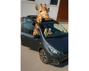 Citroen C1 Gebrauchtwagen