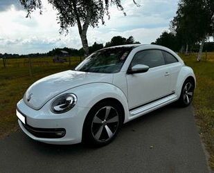 VW Beetle Gebrauchtwagen