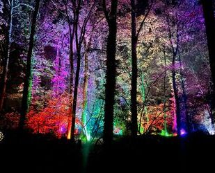 Citroen Berlingo Gebrauchtwagen