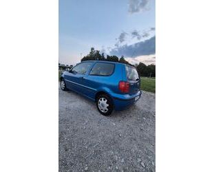 VW Polo Gebrauchtwagen