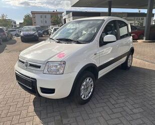 Fiat Panda Gebrauchtwagen