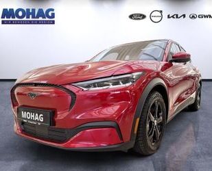 Ford Mustang Mach-E Gebrauchtwagen
