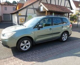 Subaru Forester Gebrauchtwagen