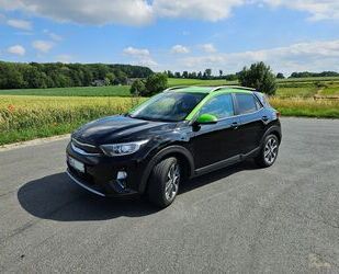 Kia Stonic Gebrauchtwagen