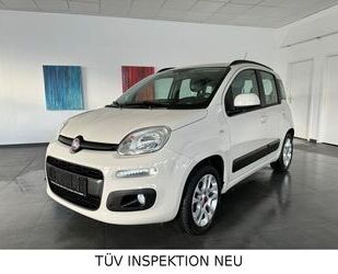 Fiat Panda Gebrauchtwagen
