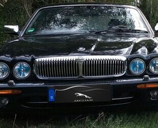 Jaguar Daimler Gebrauchtwagen