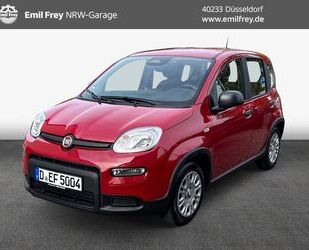 Fiat Panda Gebrauchtwagen