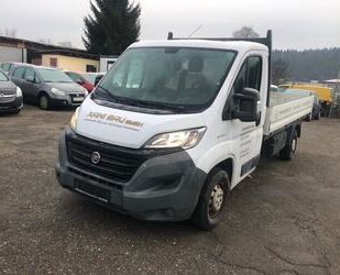 Fiat Ducato Gebrauchtwagen