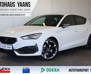 Cupra Leon Gebrauchtwagen