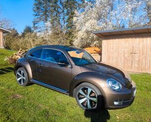 VW Beetle Gebrauchtwagen