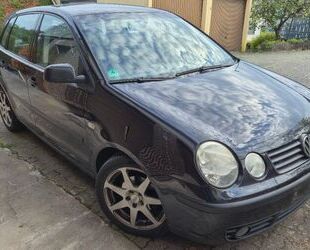 VW Polo Gebrauchtwagen