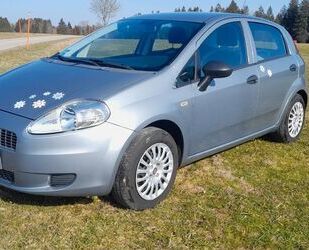 Fiat Punto Gebrauchtwagen