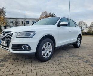 Audi Q5 Gebrauchtwagen