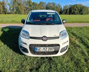 Fiat Panda Gebrauchtwagen