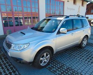 Subaru Forester Gebrauchtwagen
