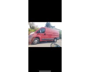 Fiat Ducato Gebrauchtwagen