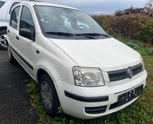 Fiat Panda Gebrauchtwagen
