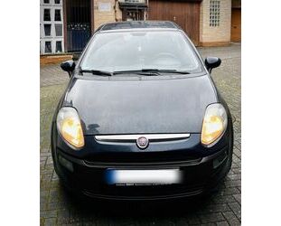Fiat Punto Evo Gebrauchtwagen