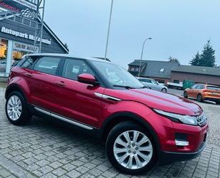 Land Rover Range Rover Evoque Gebrauchtwagen