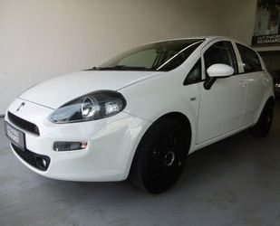 Fiat Punto Gebrauchtwagen